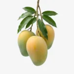 হিমসাগর আম