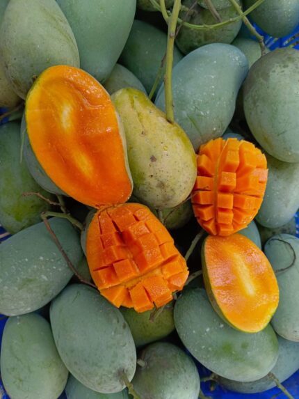 আম্রপালি ১২ কেজি
