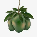 আম্রপালি আম