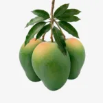 গোবিন্দভোগ আম