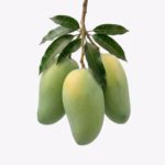 ল্যাংড়া আম