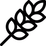ঢেঁকি ছাঁটা লাল চাল