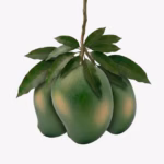 আম্রপালি আম