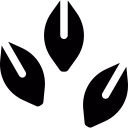 সিড মিক্স